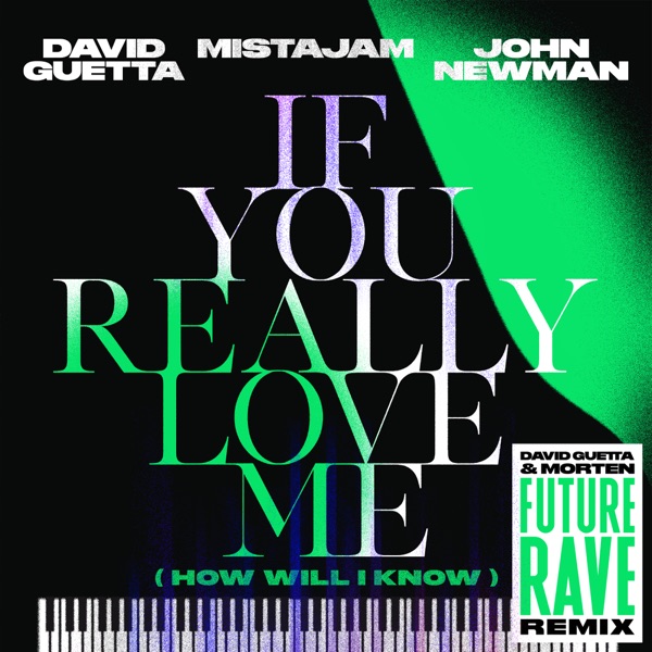 If You Really Love Me (How Will I Know) [David Guetta & MORTEN Future Rave Remix] - Single album cover