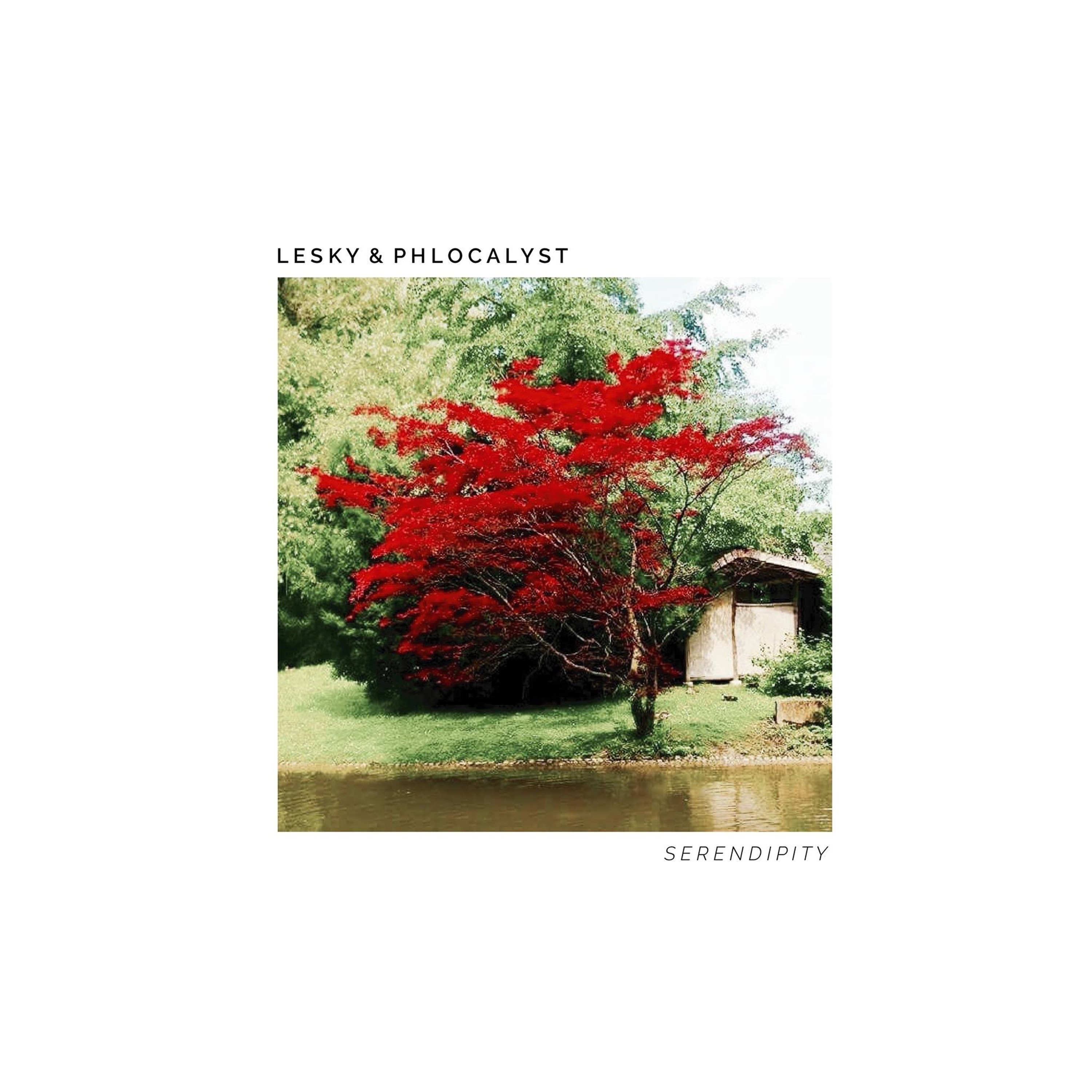 Serendipity (feat. Lesky) album cover