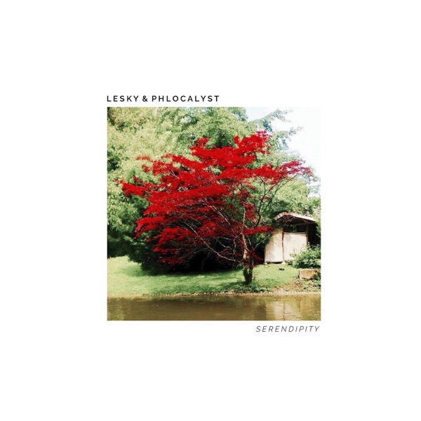 Serendipity (feat. Lesky) album cover
