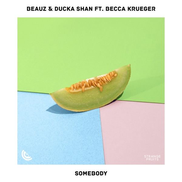 Somebody - Single album cover