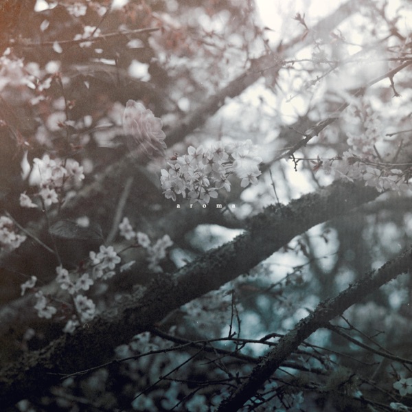 Aroma - Single album cover