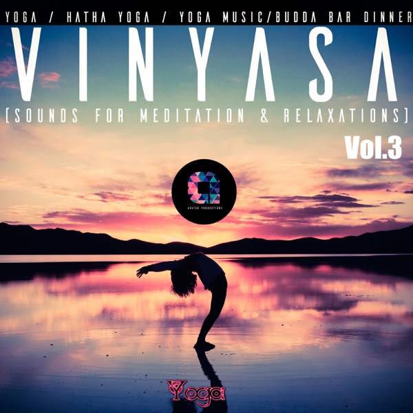 Vinyasa, Vol.3 album cover