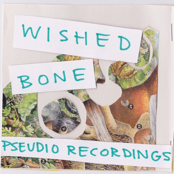 Pseudio Recordings - EP album cover