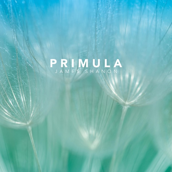Primula - Single album cover