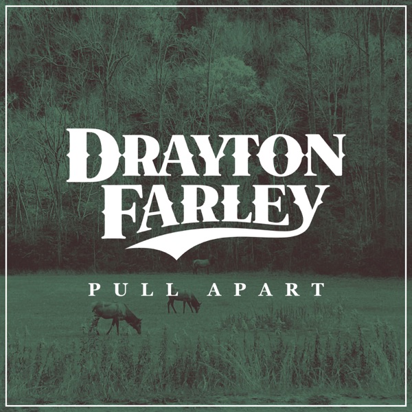 Pull Apart - Single album cover