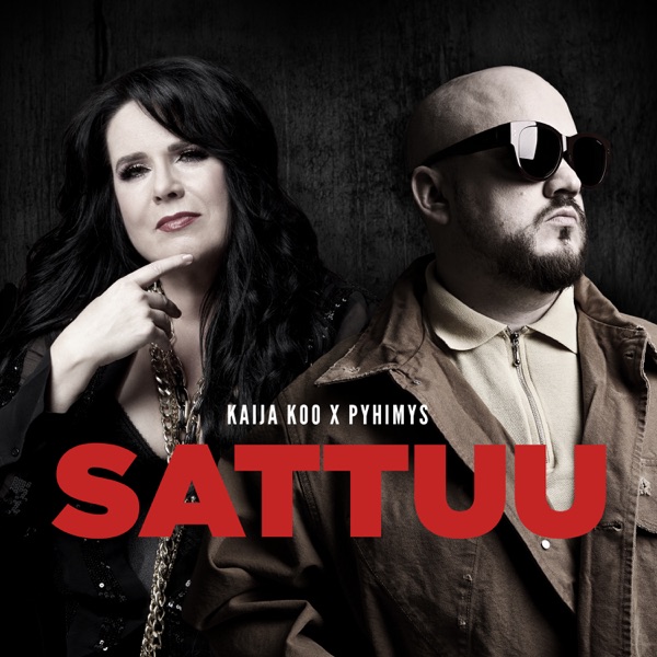 Sattuu - Single album cover