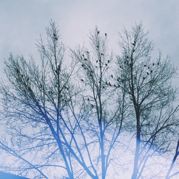 Permafrost - Single album cover