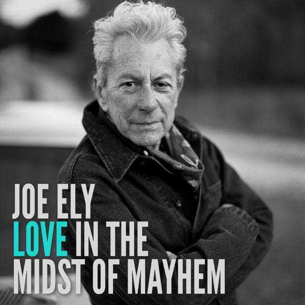 Love in the Midst of Mayhem album cover