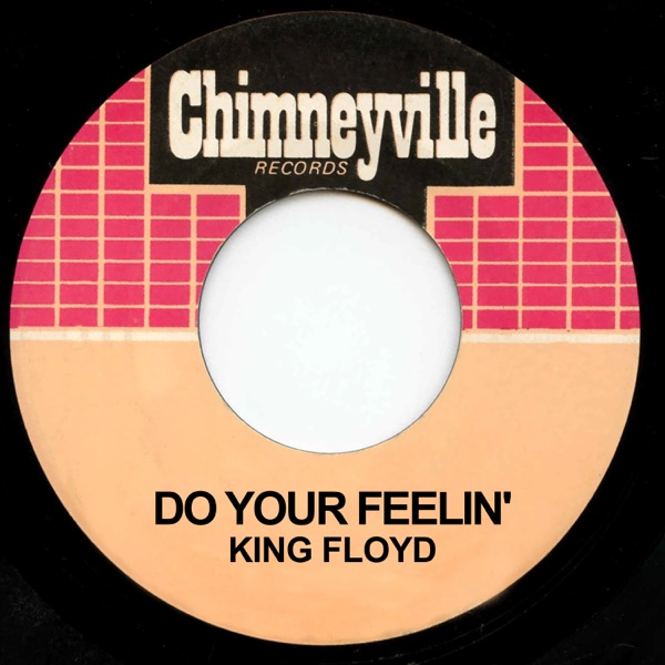 Do Your Feelin' - Single album cover