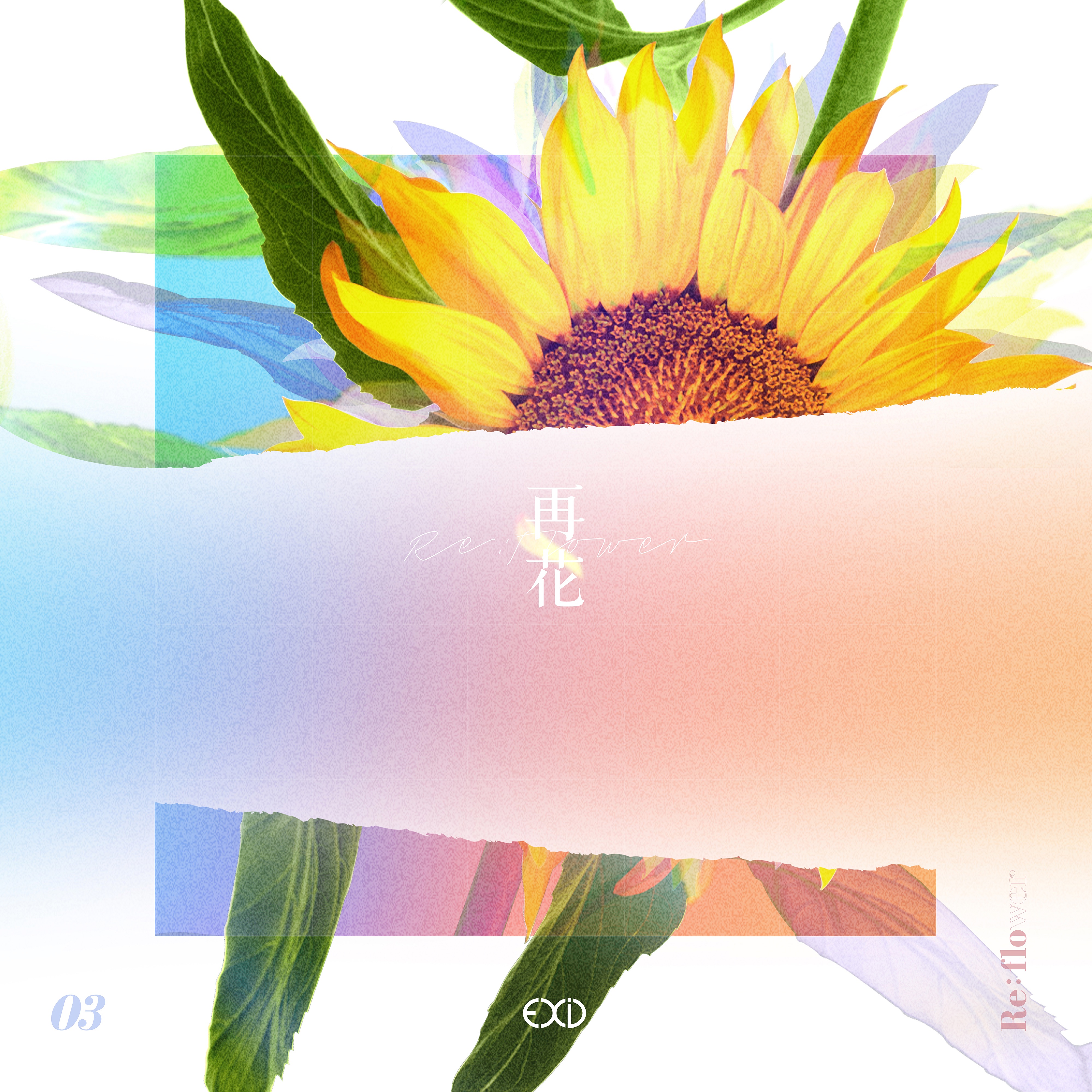 [Re:flower] PROJECT #3 - Single album cover