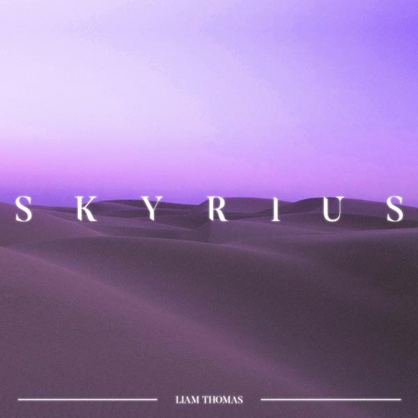 Skyrius - Single album cover