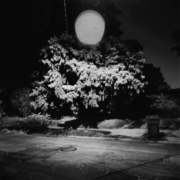 The Night You Caught on Fire - Single album cover