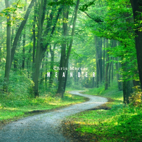 Meander - Single album cover