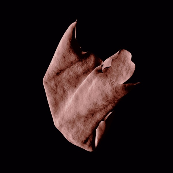 Adjacent Heart - Single album cover