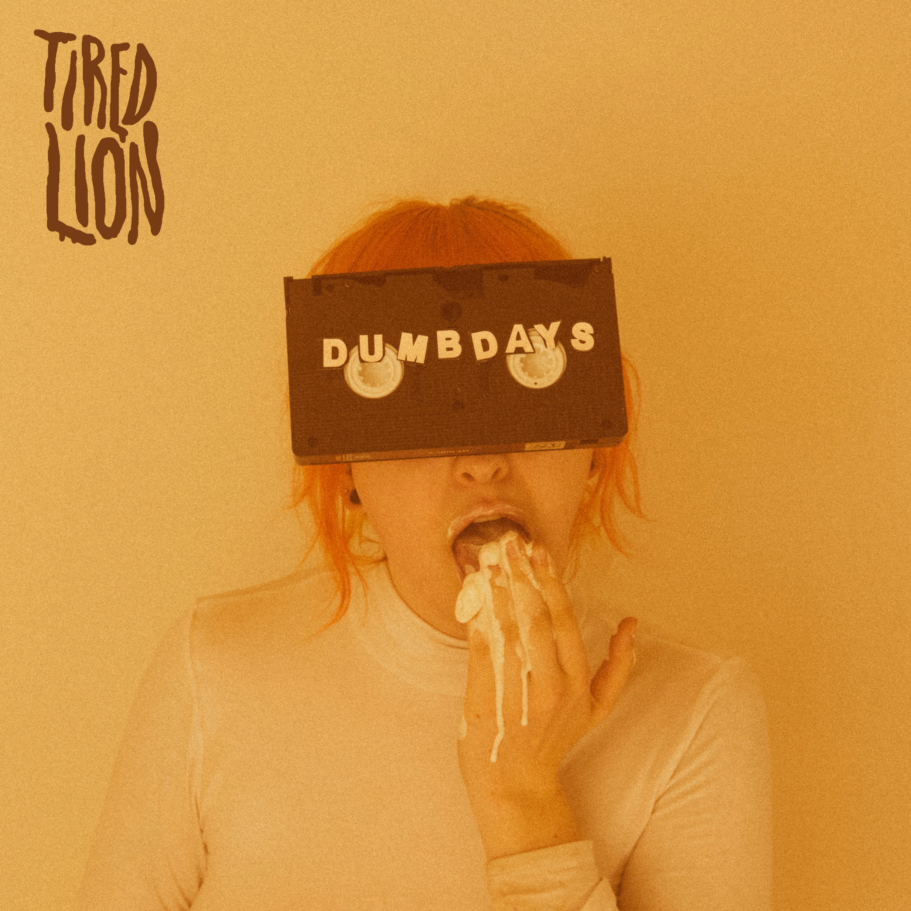 Dumb Days album cover