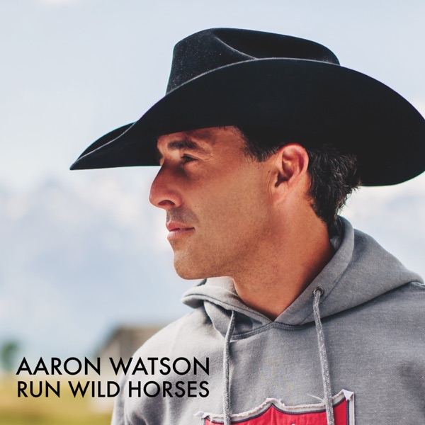 Run Wild Horses (Radio Edit) - Single album cover