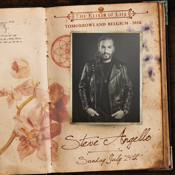 Tomorrowland 2016: Steve Angello (DJ Mix) album cover