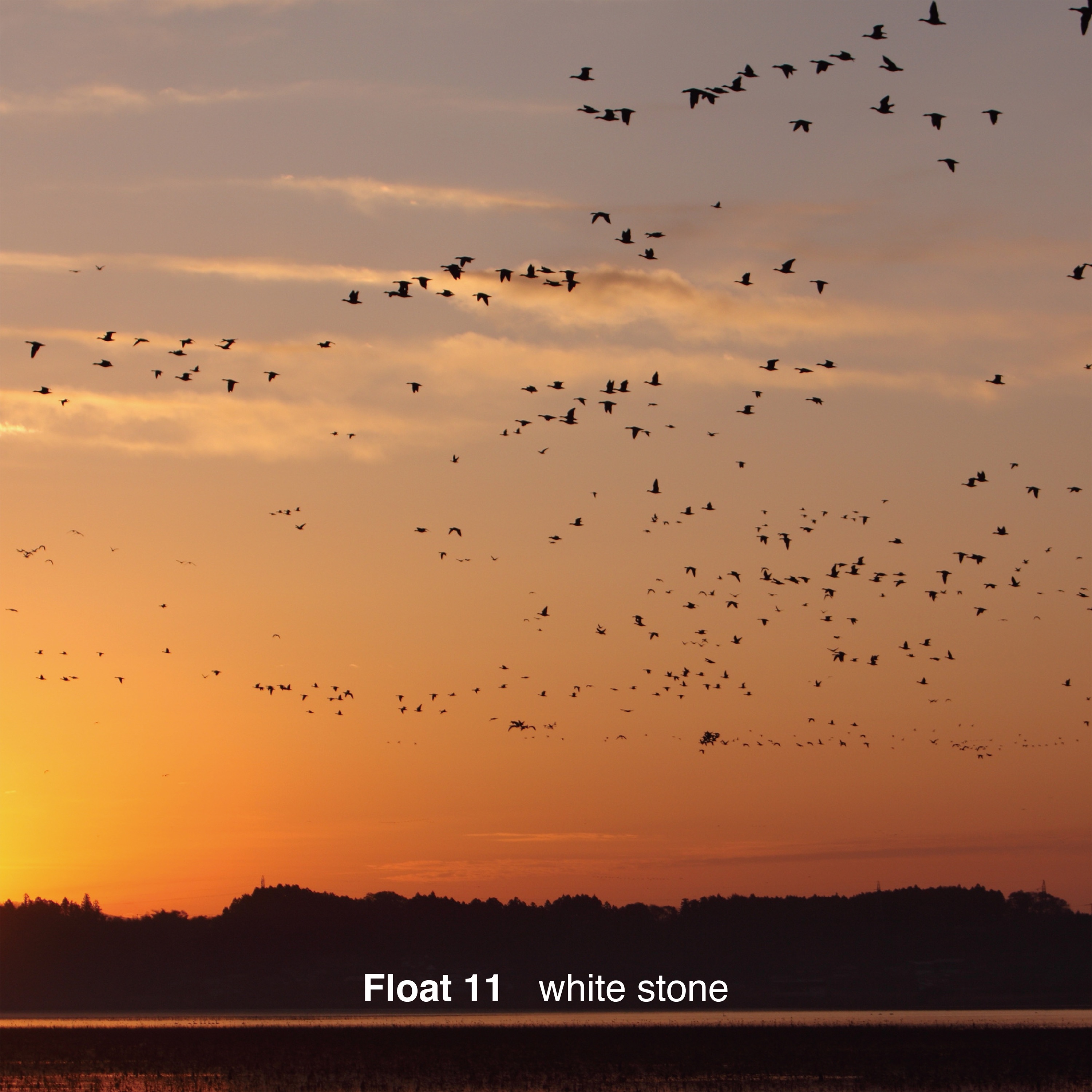 White Stone - Single album cover
