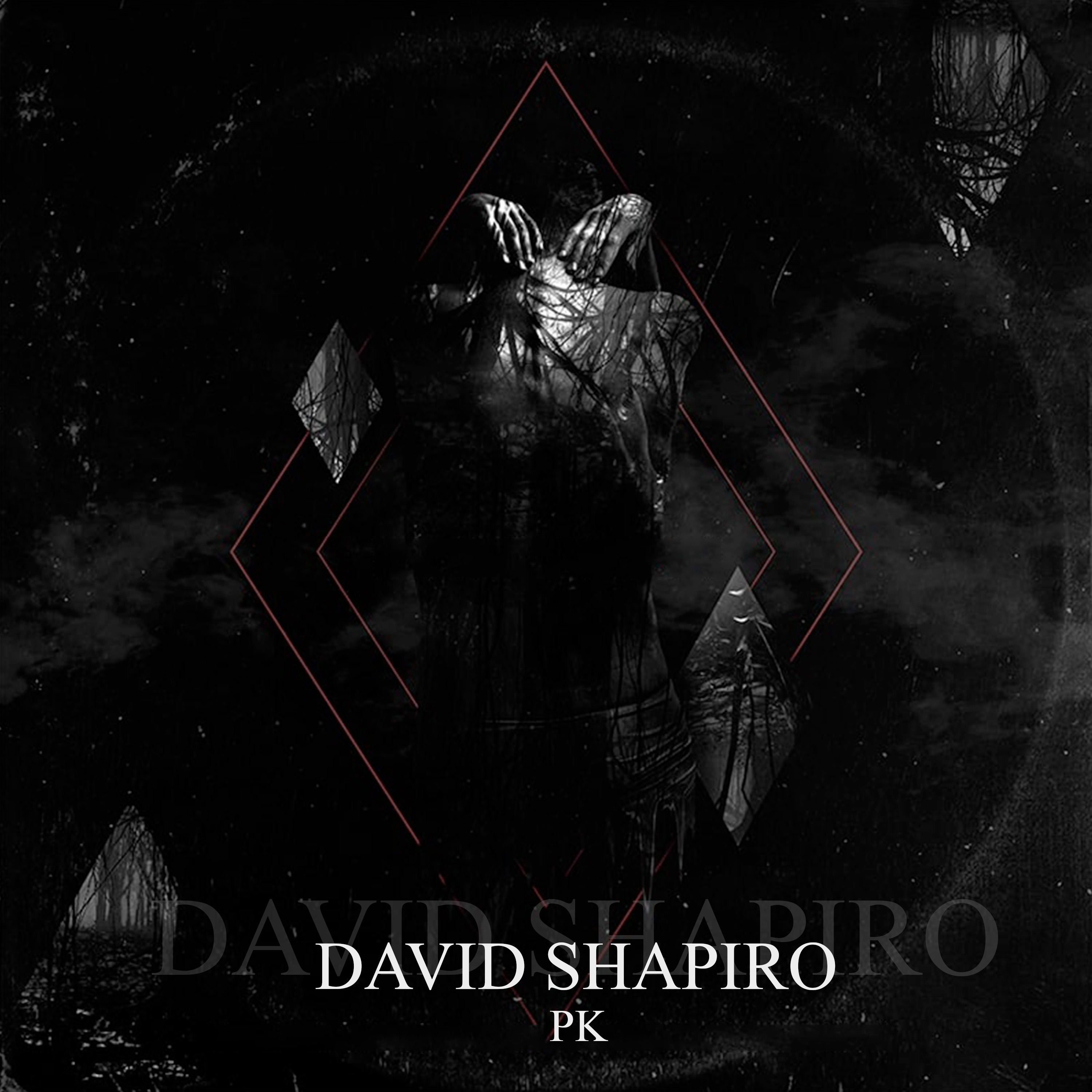 David Shapiro - Single album cover
