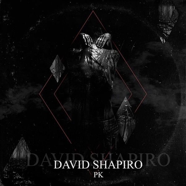David Shapiro - Single album cover
