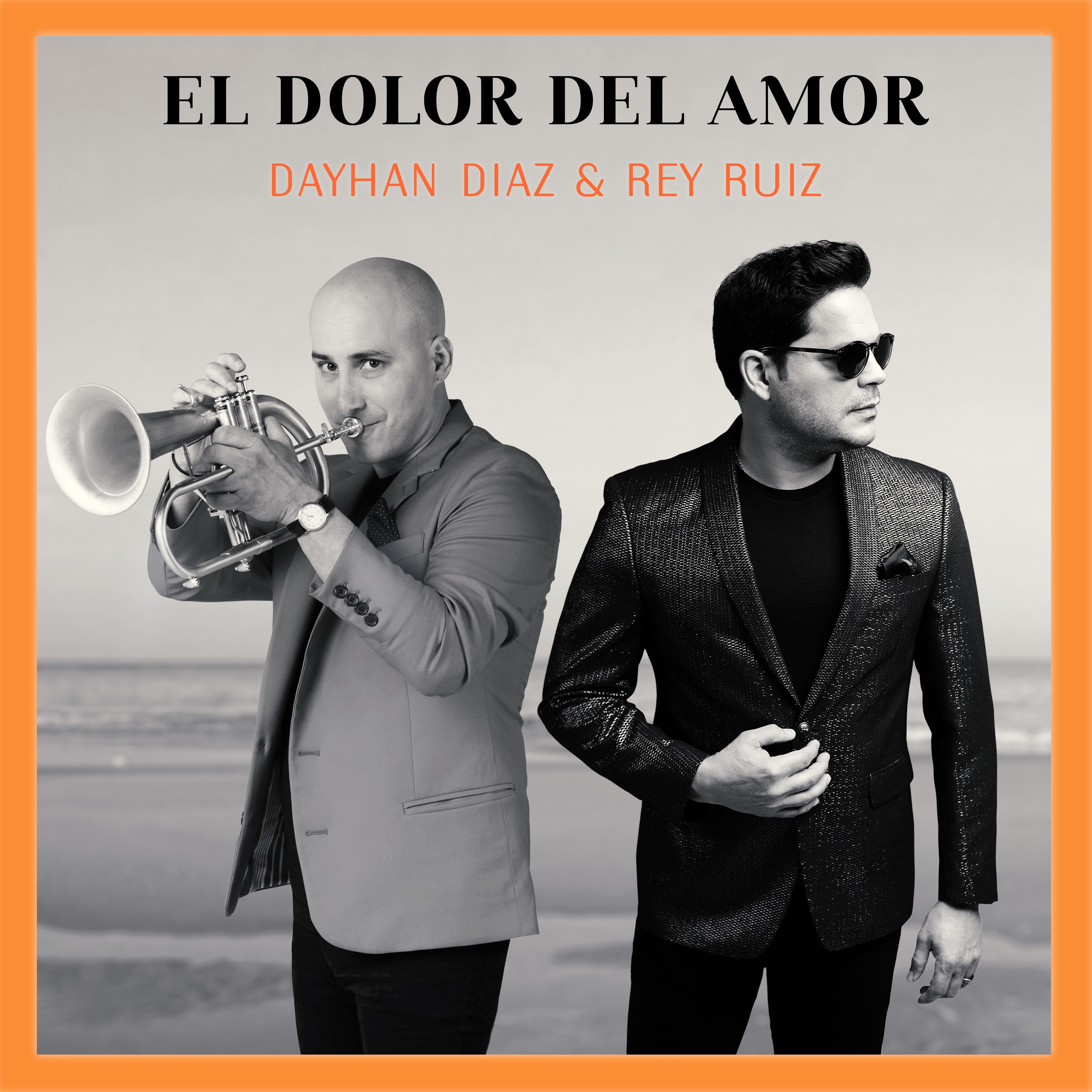 El Dolor del Amor - Single album cover