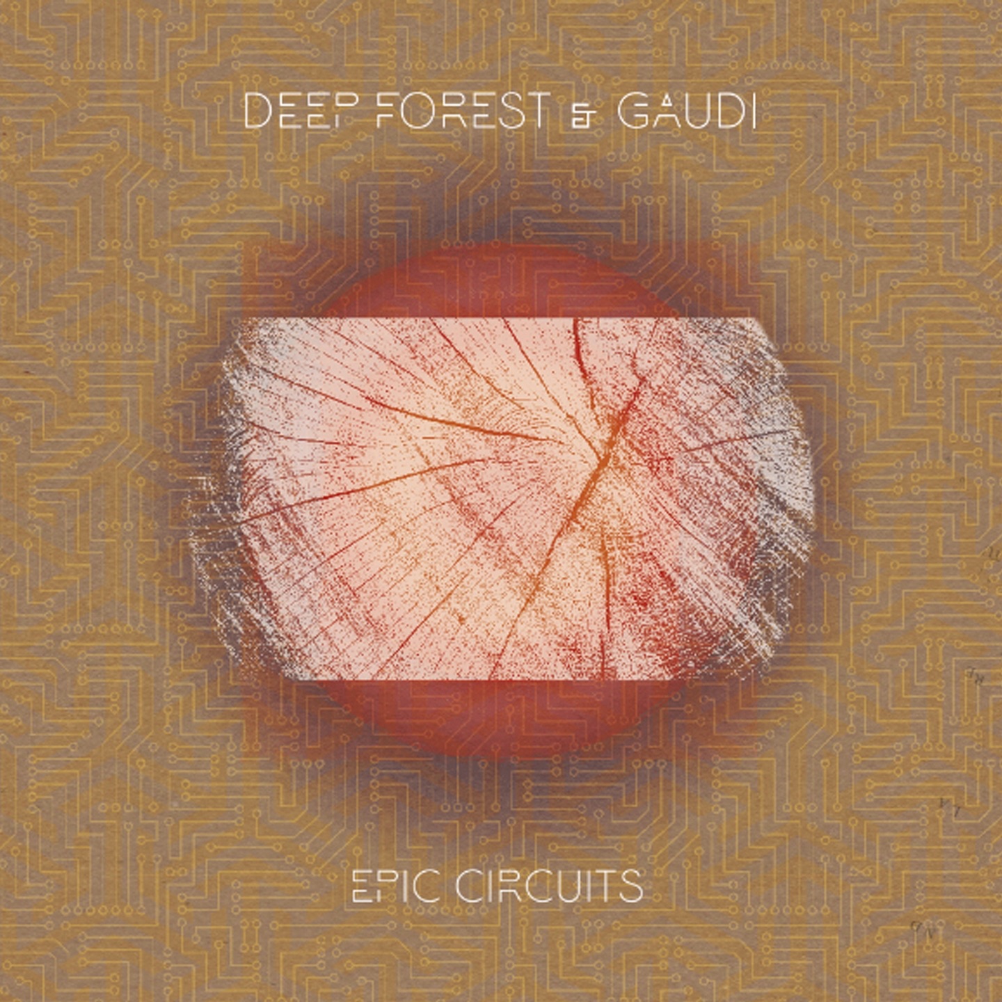 Epic Circuits album cover