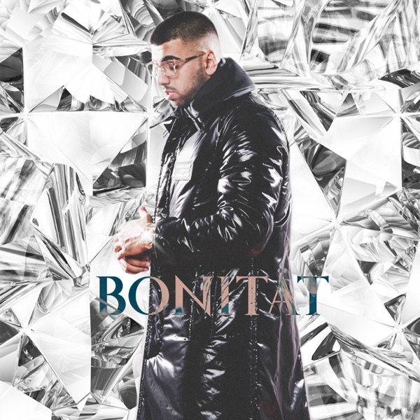 Bonität Plus album cover