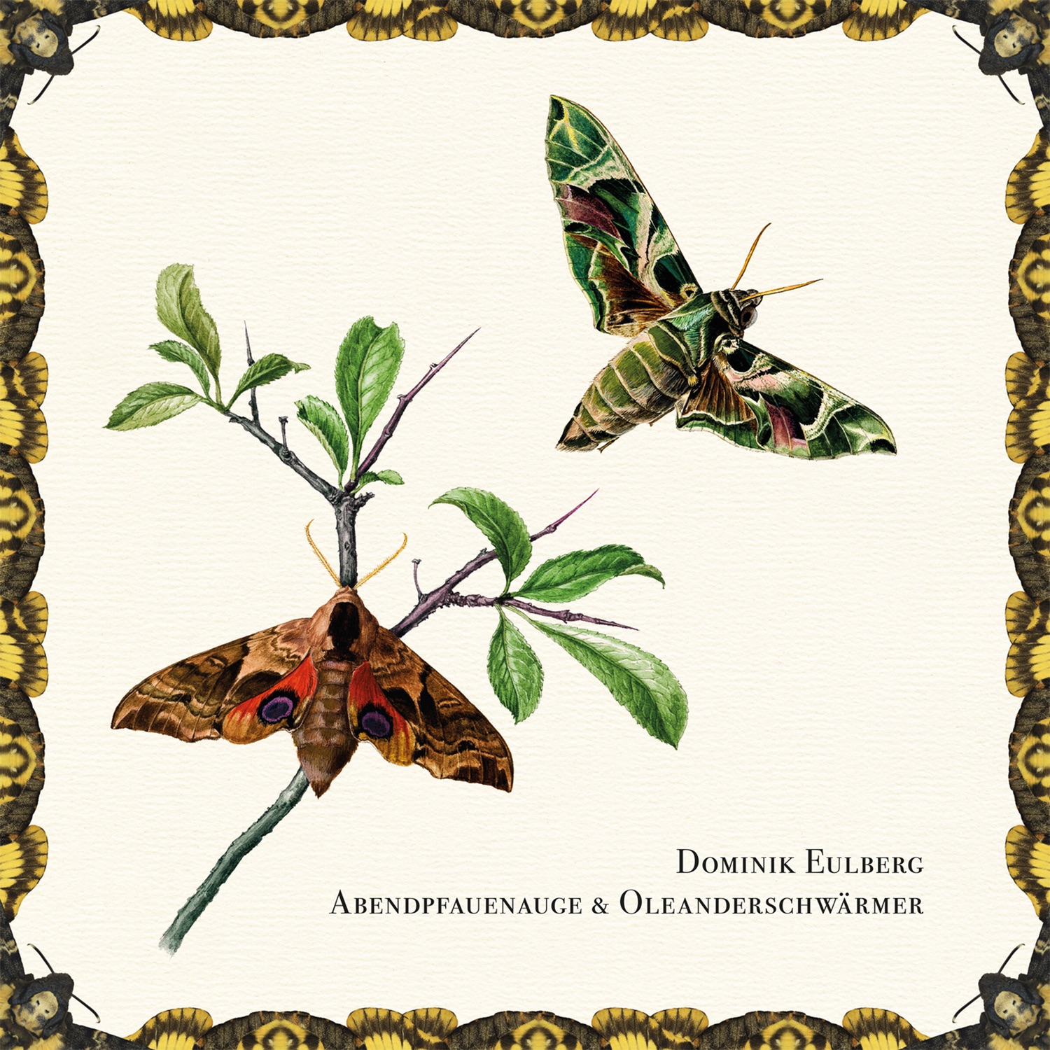 Abendpfauenauge & Oleanderschwärmer - EP album cover