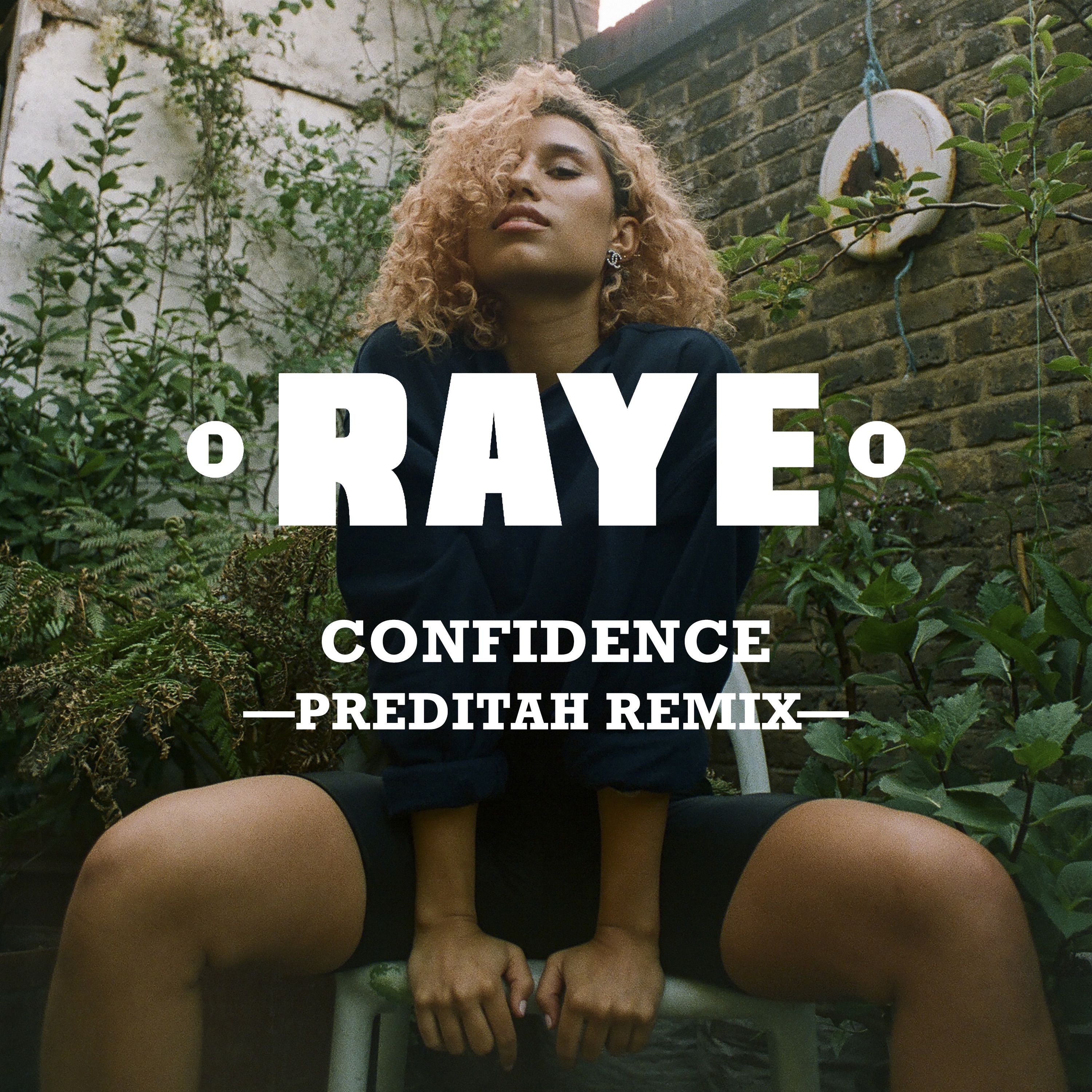 Confidence (Preditah Remix) [feat. Maleek Berry & Nana Rogues] - Single album cover