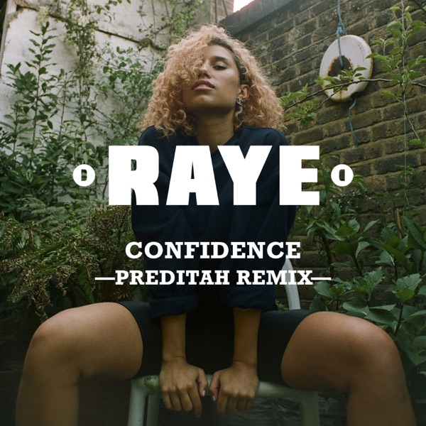 Confidence (Preditah Remix) [feat. Maleek Berry & Nana Rogues] - Single album cover