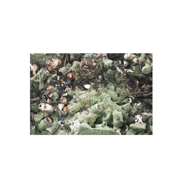 Human Lines album cover