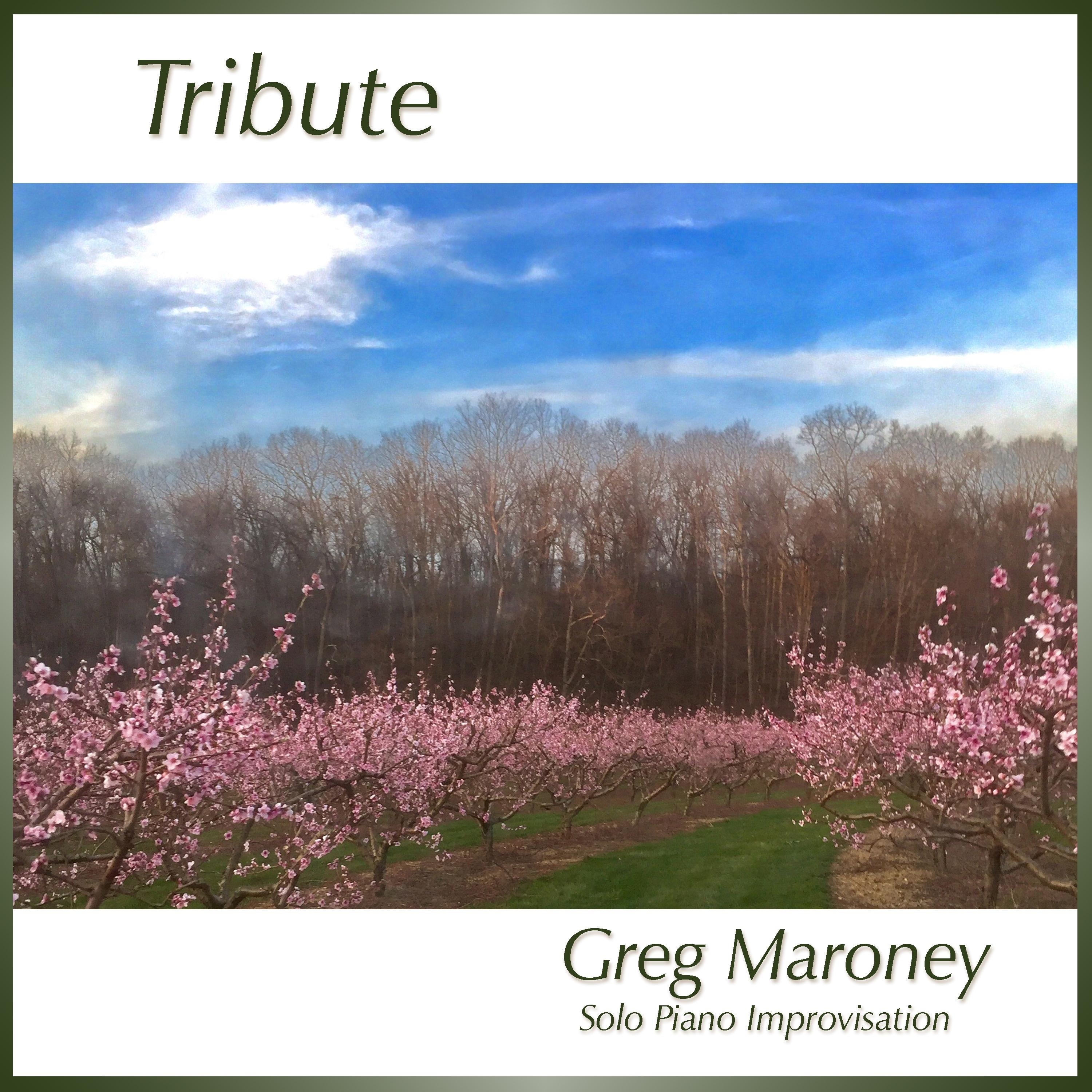 Tribute - Single album cover