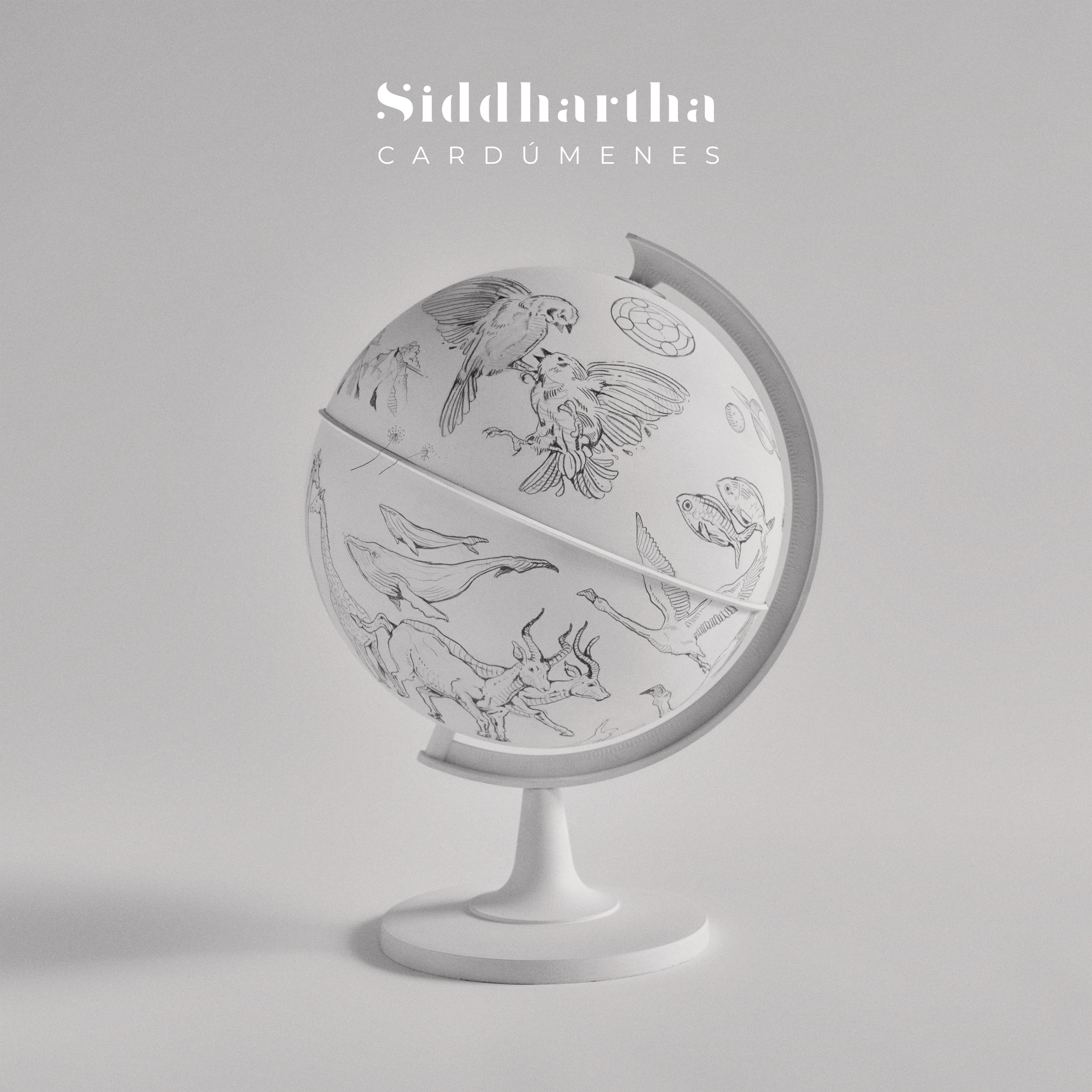 Cardúmenes - Single album cover