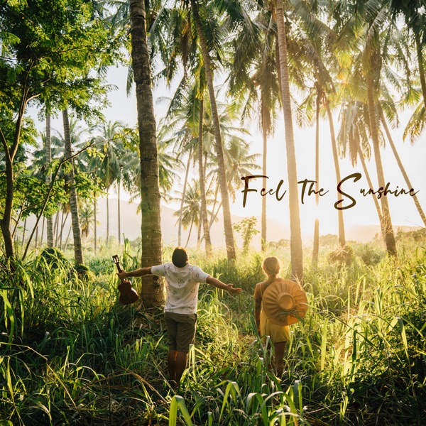 Feel the Sunshine - Single album cover
