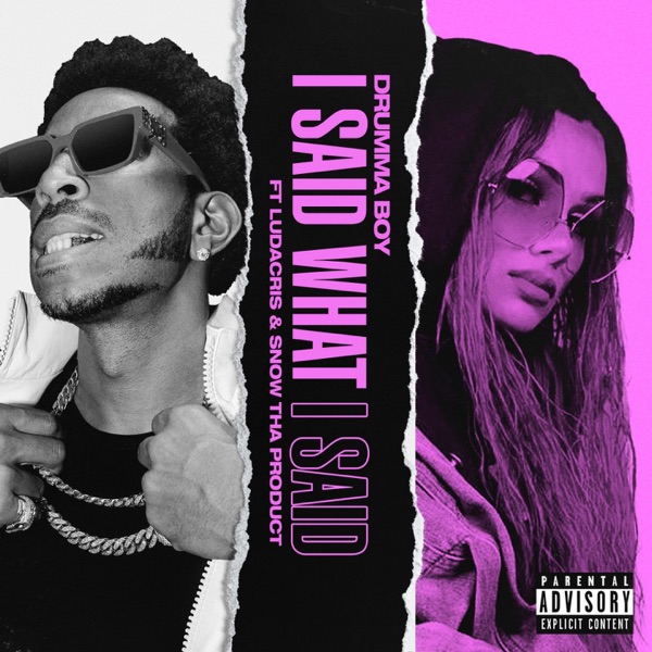 I Said What I Said - Single album cover