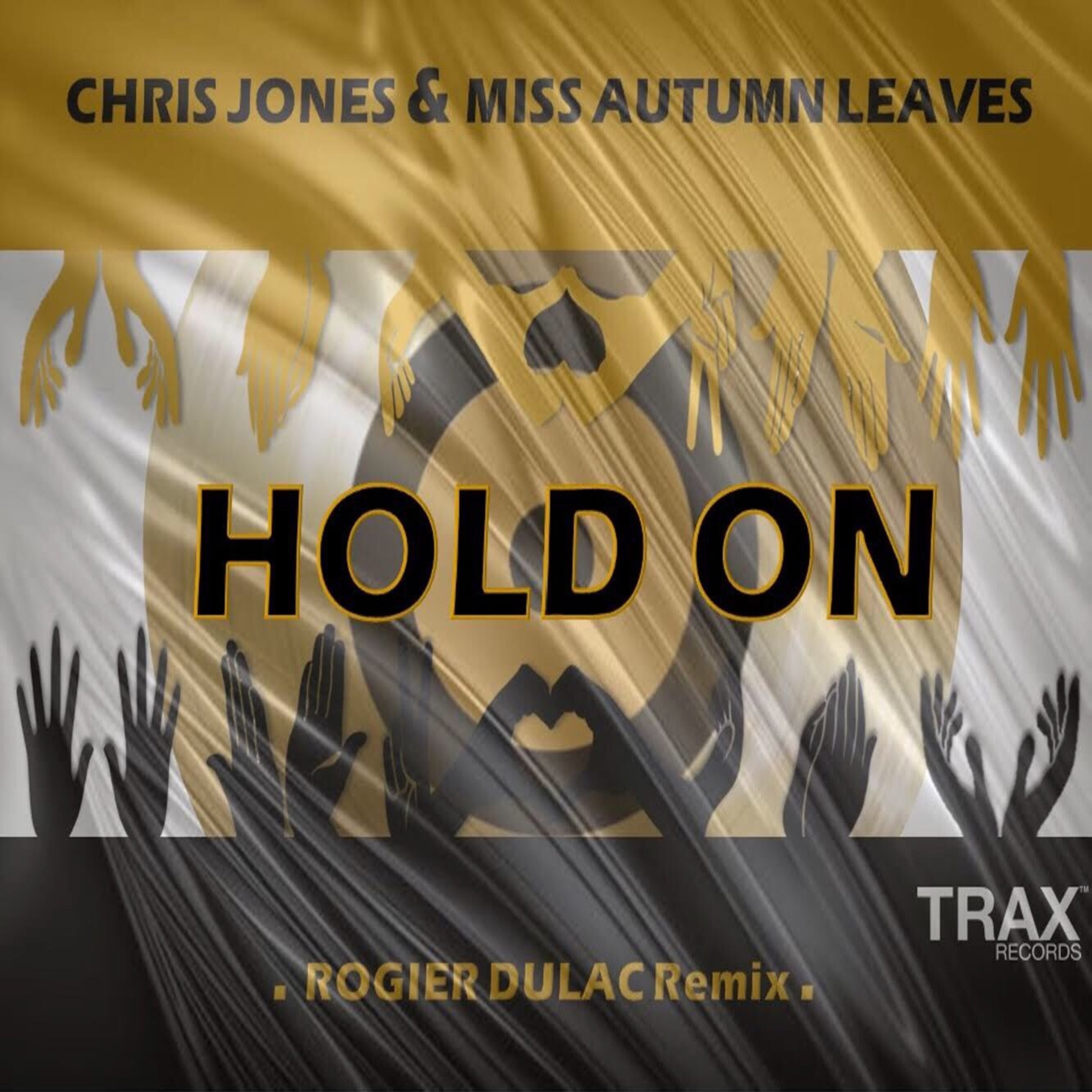HOLD ON (ROGIER DULAC REMIX) - Single album cover