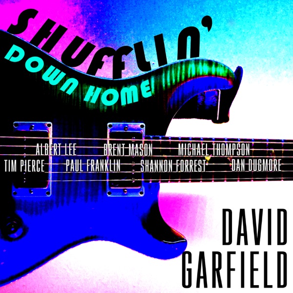 Shufflin' Down Home (feat. Albert Lee, Tim Pierce, Paul Franklin, Brent Mason, Shannon Forrest, Mich album cover