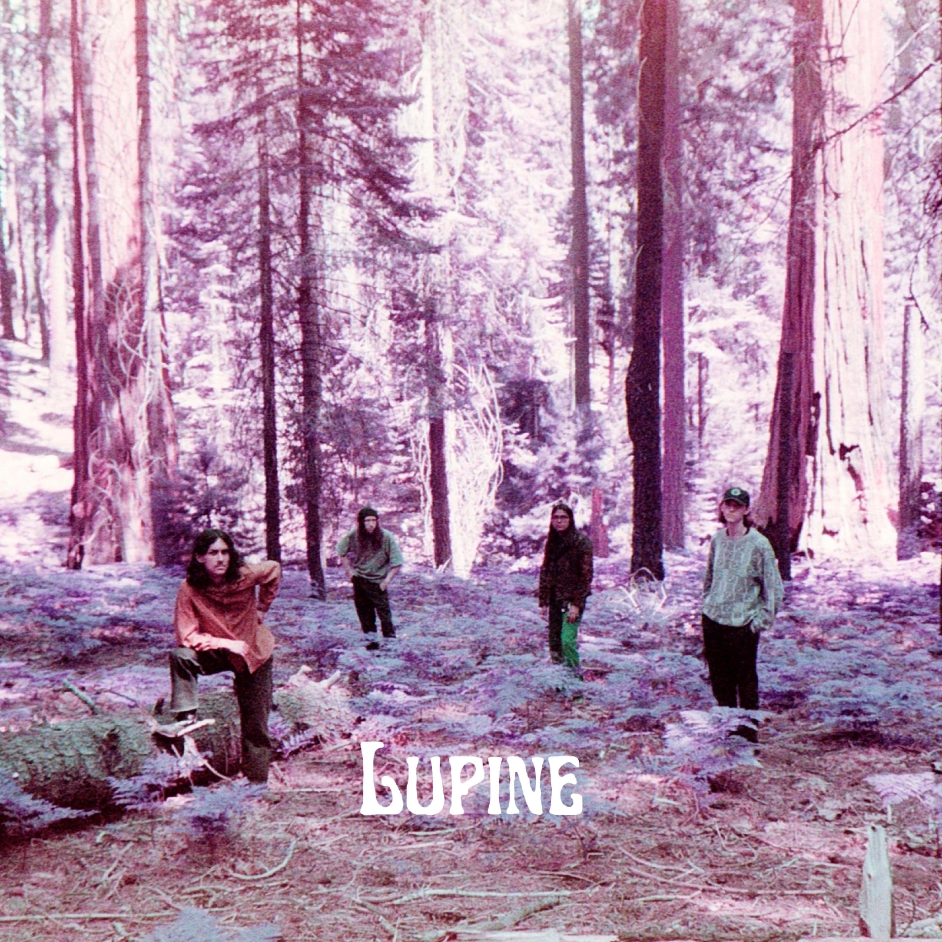 Lupine album cover