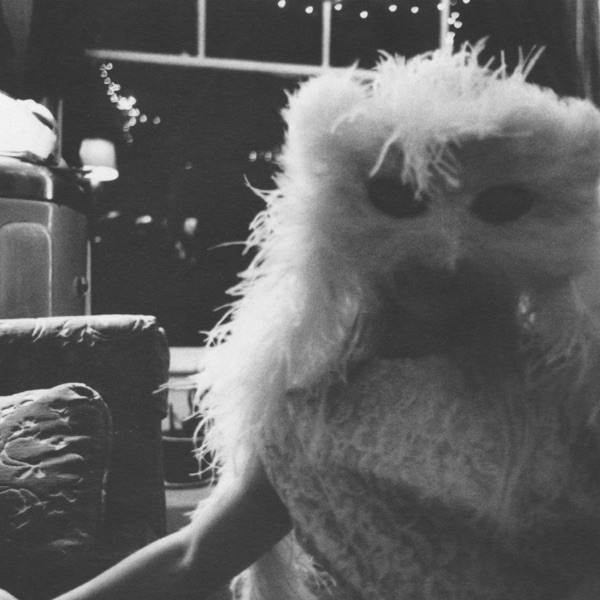 The Glory of Fruit Bats album cover