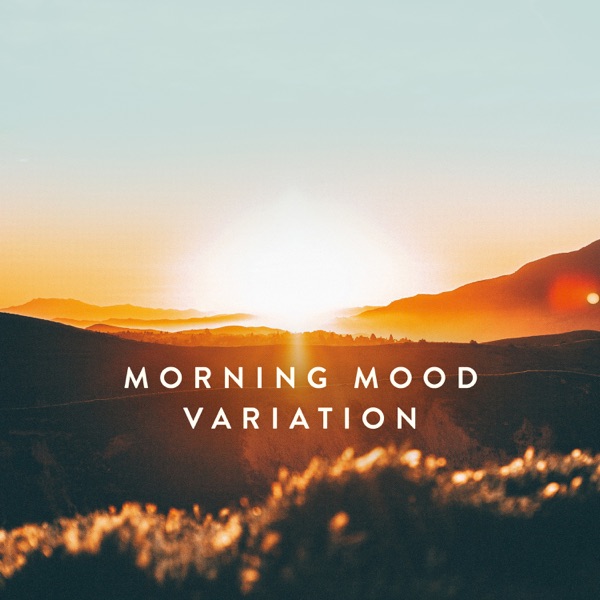 Morning Mood Variation (Arr. for Piano from Peer Gynt Suite No. 1, Op. 36 by Ketan & Vivan Bhatti) - album cover
