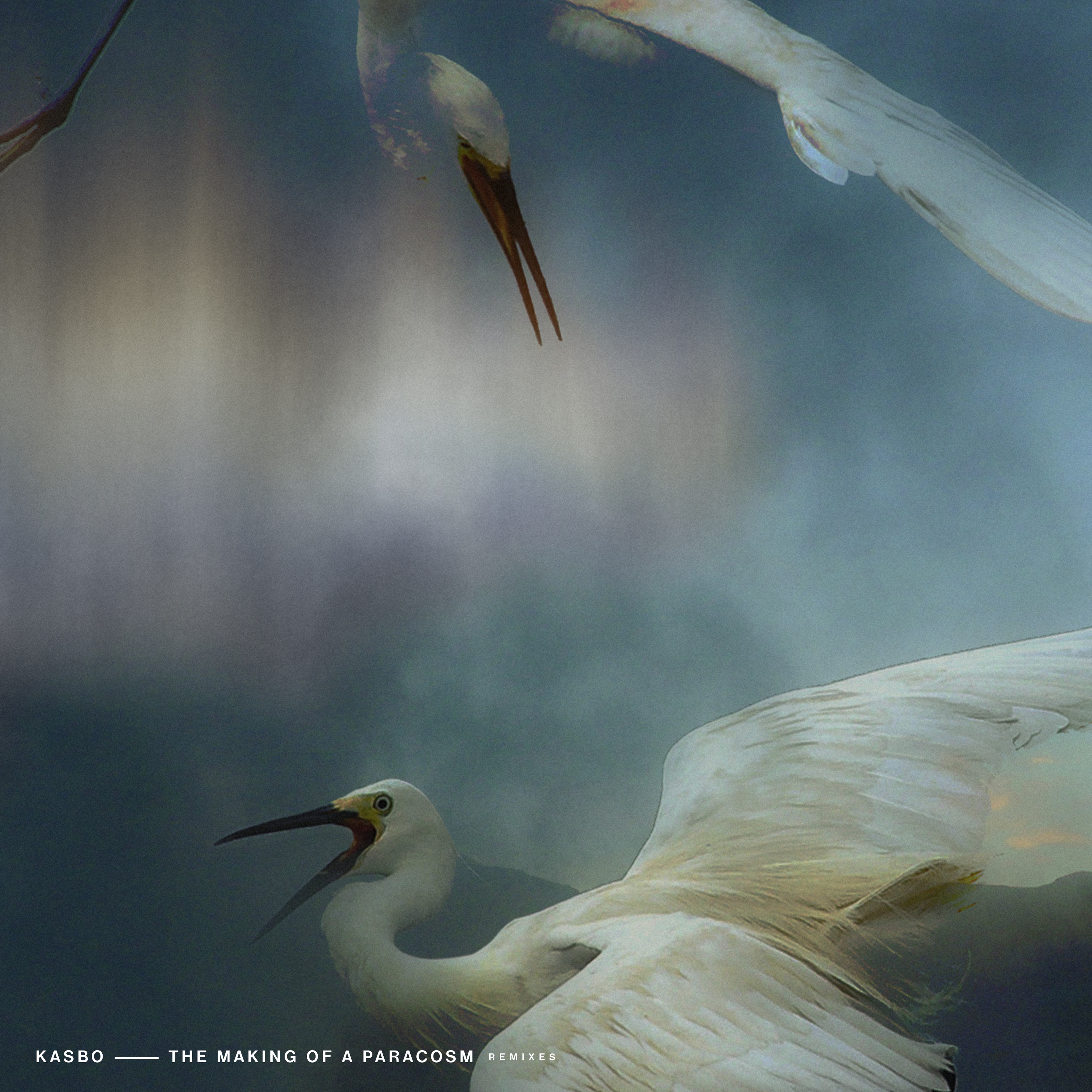 The Making of a Paracosm (Remixes, Vol. 1) - EP album cover