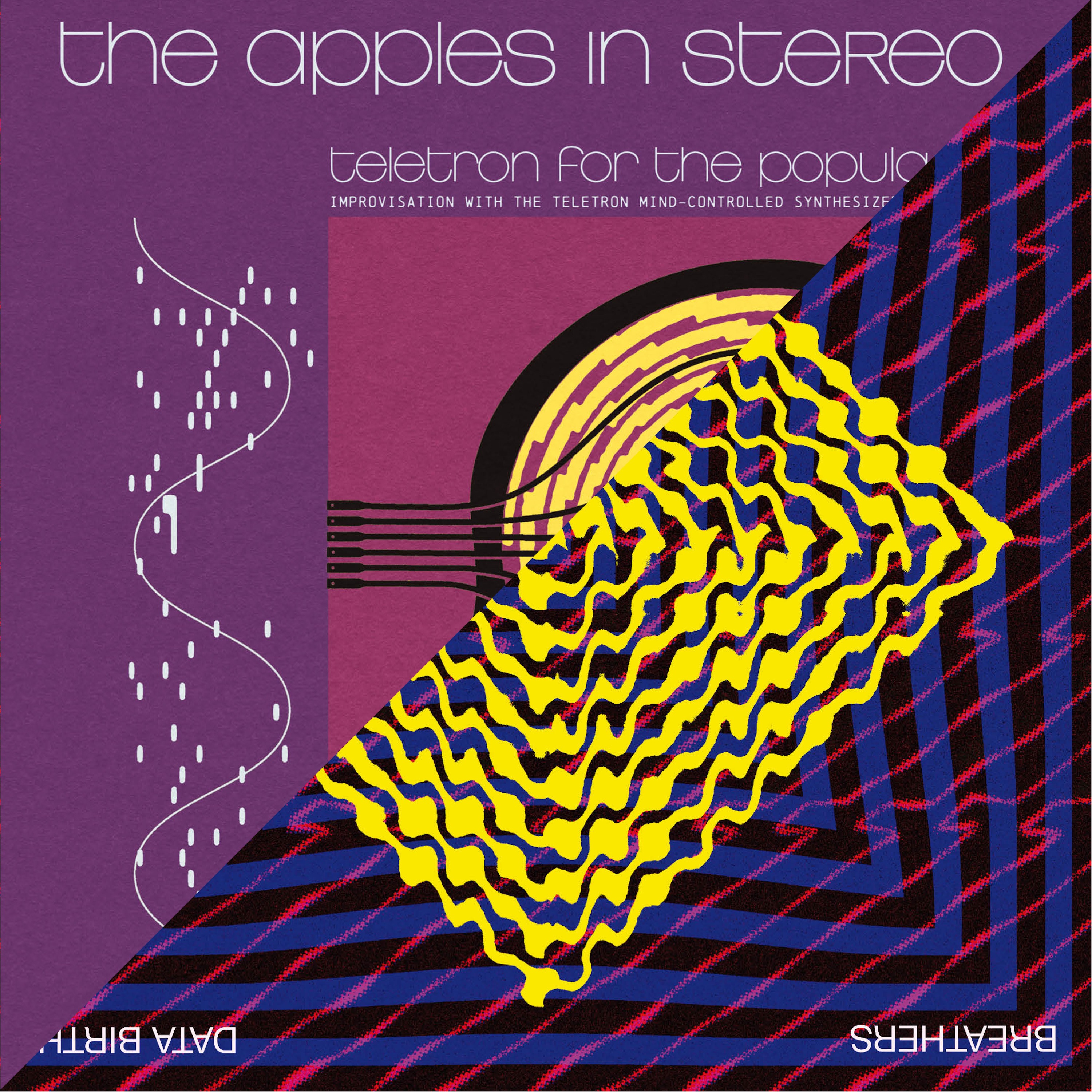 Teletron for the Populace / Data Birth - Single album cover