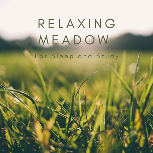 Relaxing Meadow for Sleep and Study album cover
