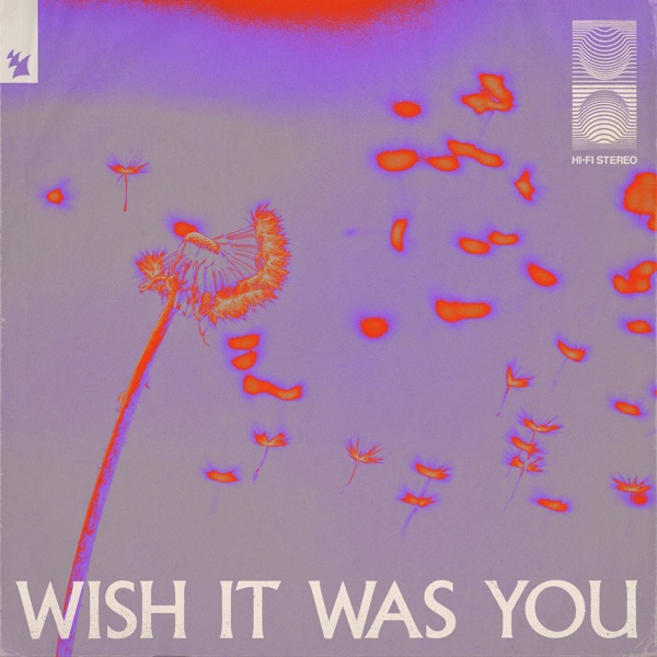 Wish It Was You (feat.  Cate Downey) - Single album cover