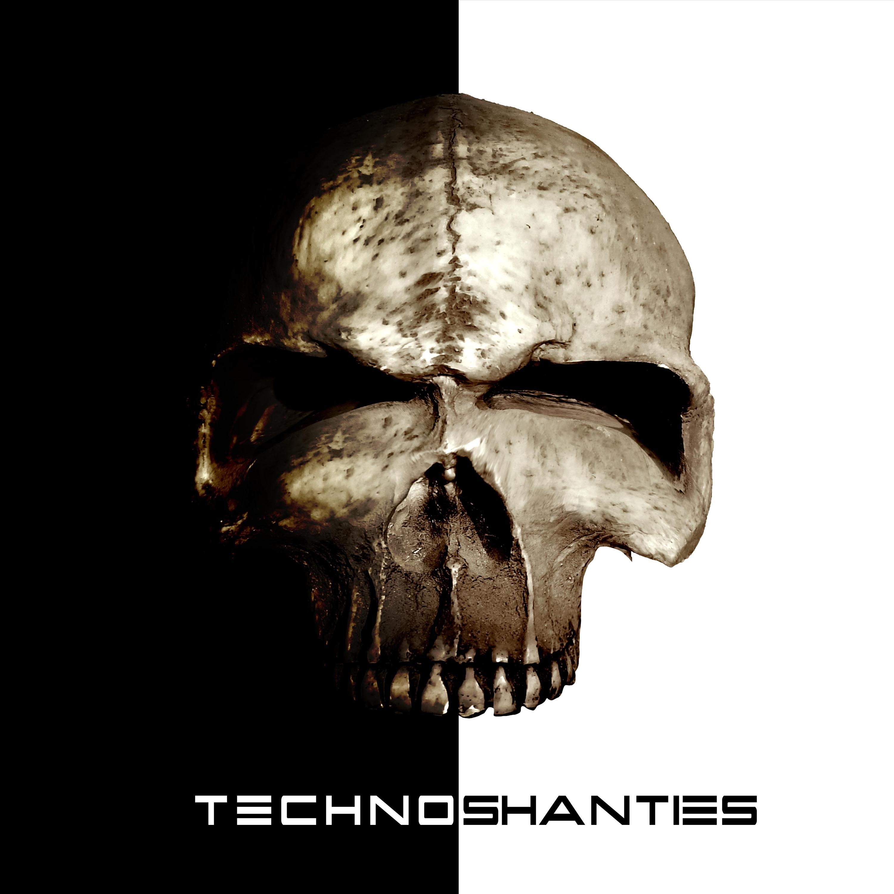 Technoshanties album cover