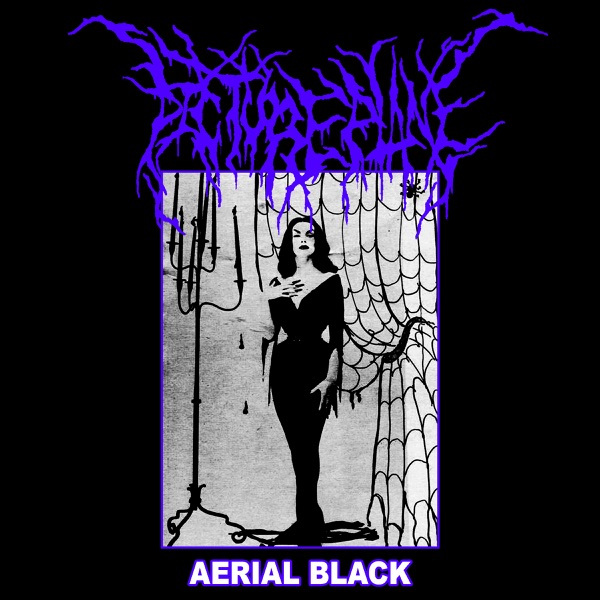 Aerial Black - EP album cover