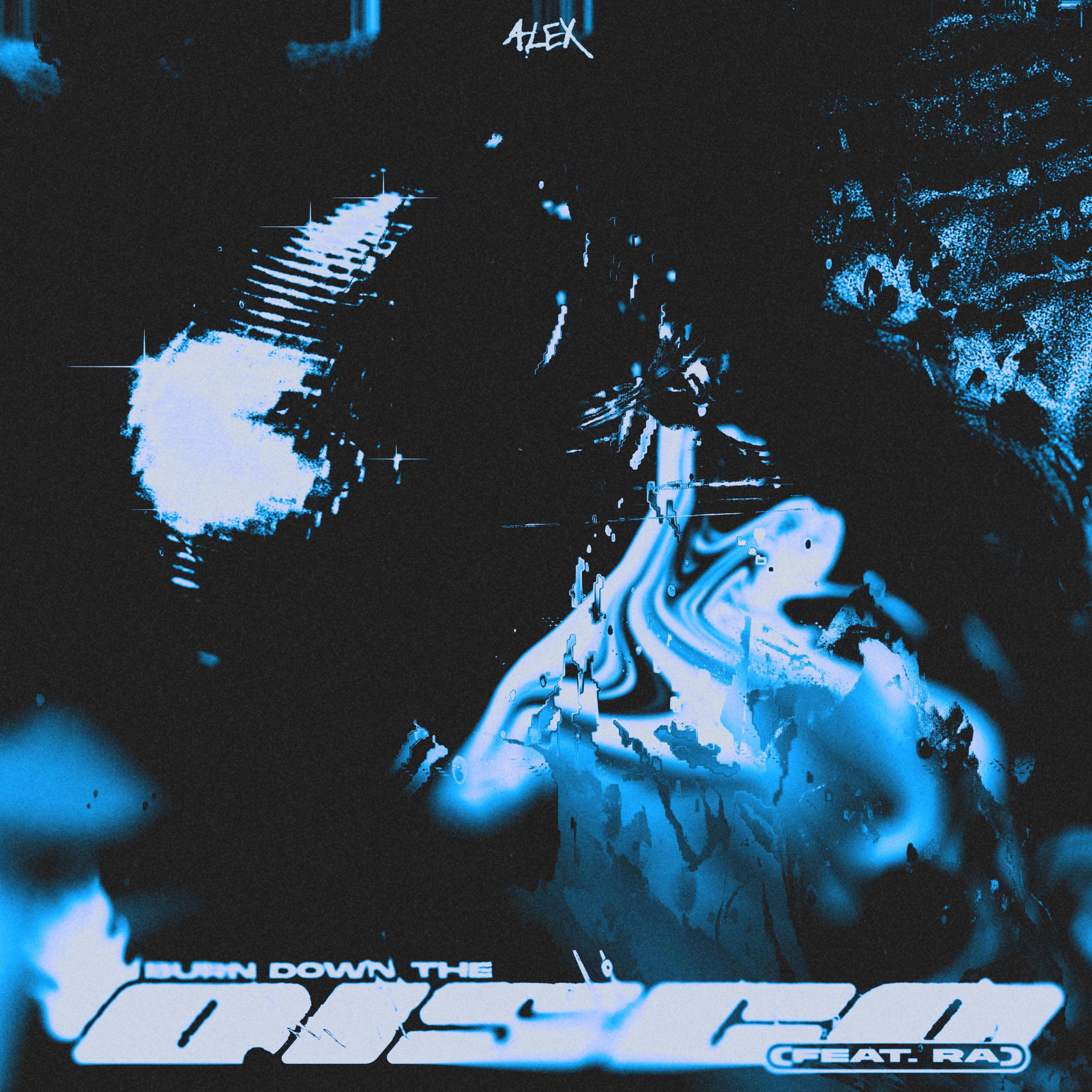 BURN DOWN THE DISCO - Single album cover