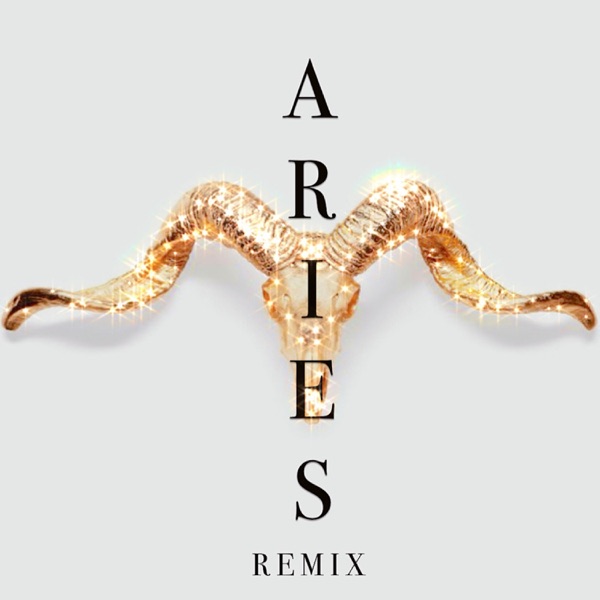 Aries (Remix) [feat. NapsNdreds & Mims] - Single album cover