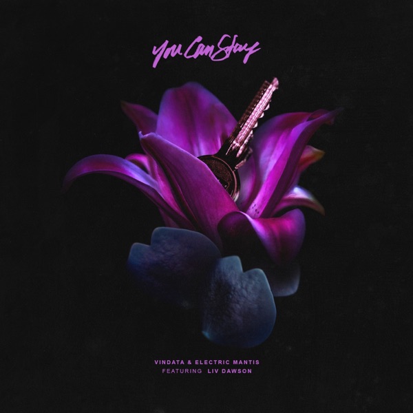 You Can Stay (feat. Liv Dawson) - Single album cover