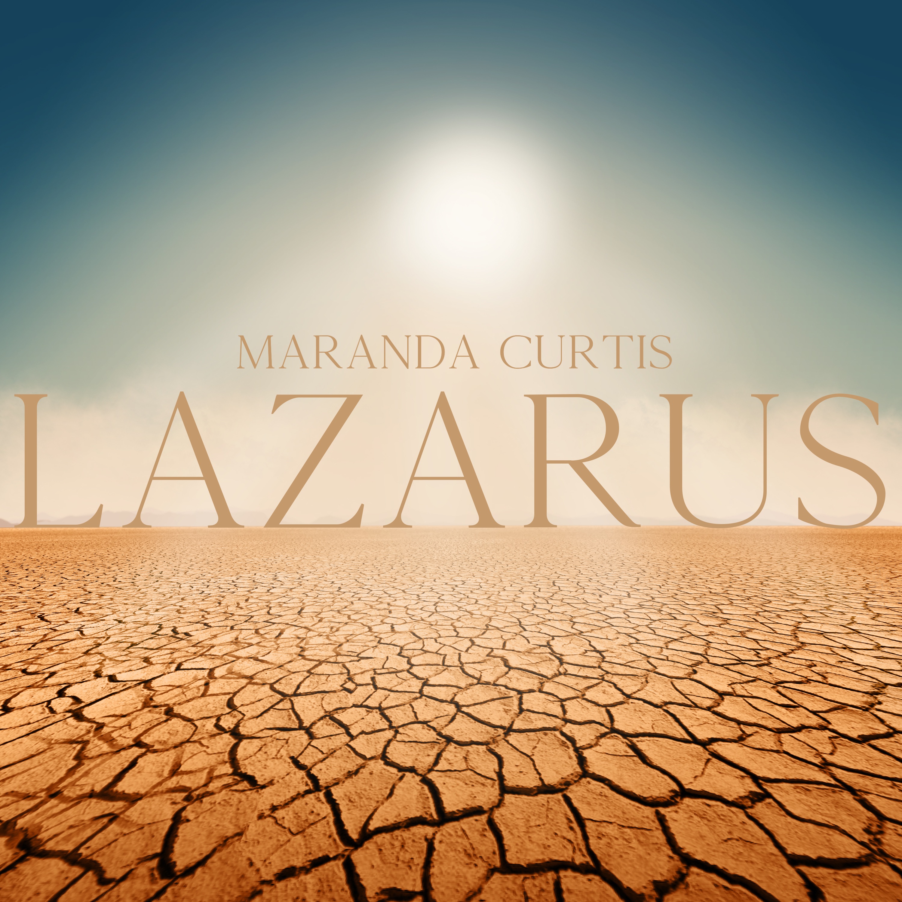Lazarus (Radio Edit) - Single album cover